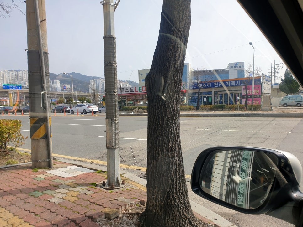 사상구 자동차썬팅 브이쿨썬팅 올뉴카니발썬팅 / 부산 사상구
