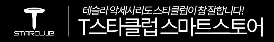 T스타클럽 테슬라 용품 모델3 악세사리 리얼 카본 데이라이트 몰딩 추천합니다. / 수원, 부천, 부평, 인천