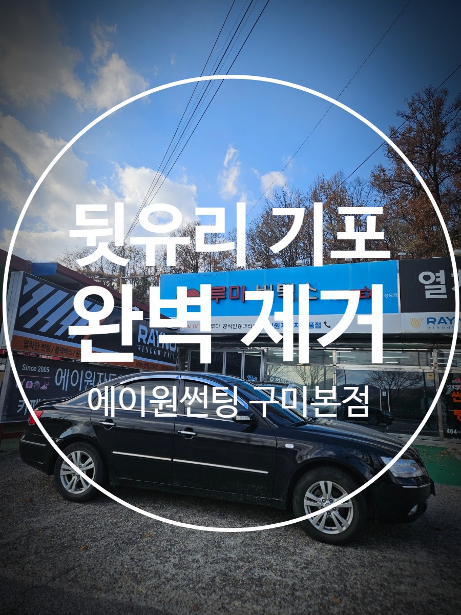 자동차 썬팅 뒷유리 기포 완벽히 제거 후 재시공 하는방법 / 경북 구미