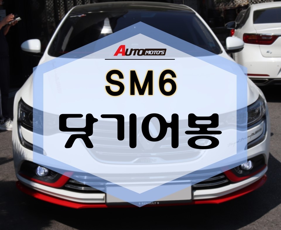 SM6 닷기어봉 손에 촥~ 감기니 그립감이 대박이에용!! / 서울 중랑구