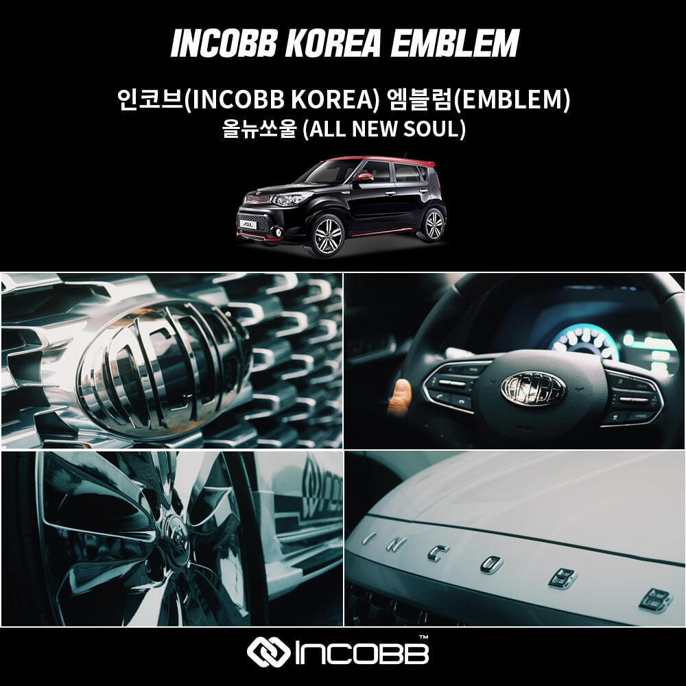 기아 엠블럼 교체 올뉴카니발 엠블럼을 교체해보세요 / 나만의 개성있는 엠브럼 / 부산,김해