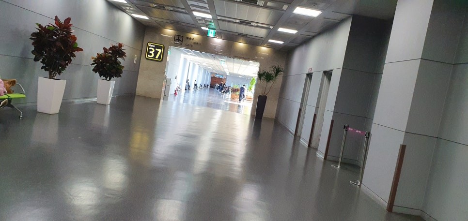 인코브 (ONCOBB KOREA) 제품 개발 미팅 & 출장소식 / 부산,김해