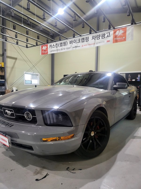 머스탱 범퍼 랩핑 제거 및 재시공 [보험수리] / 양주 백석읍